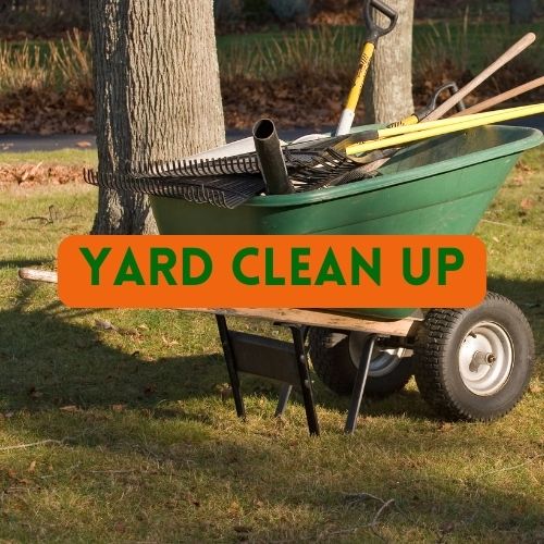 yard clean up
