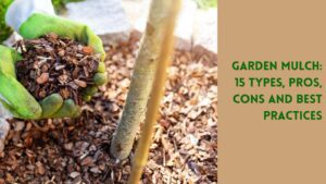 garden mulch