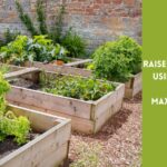 rasied garden beds