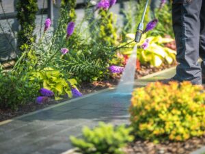 pressure washing services Bertie