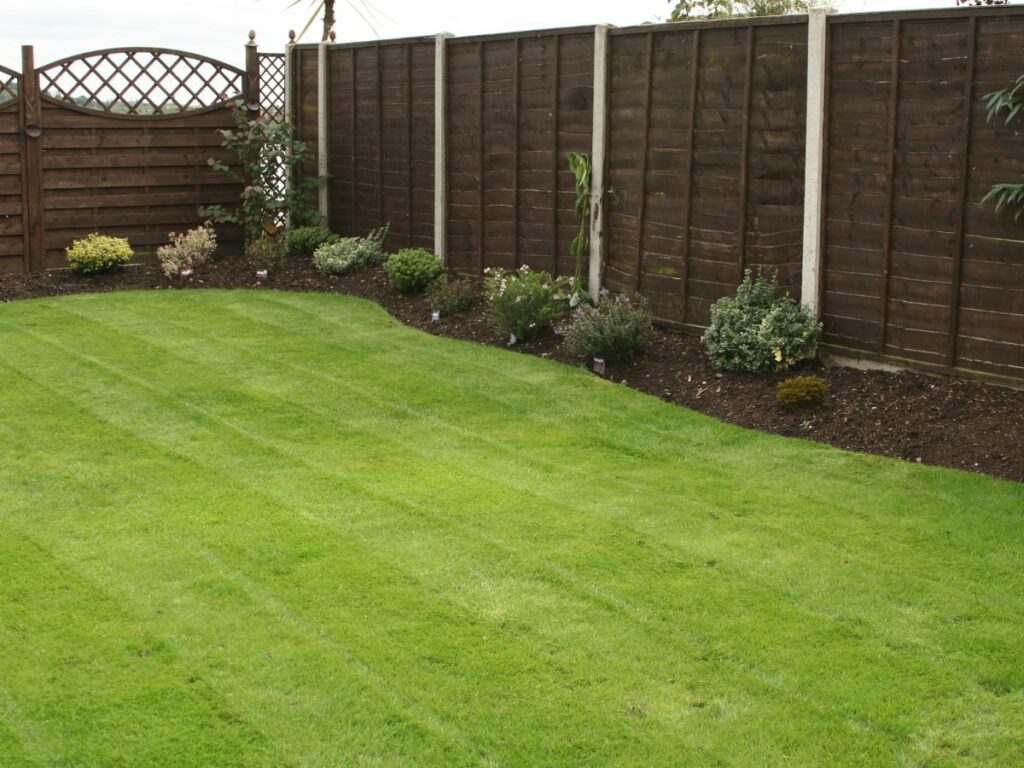 lawn care services Windsor