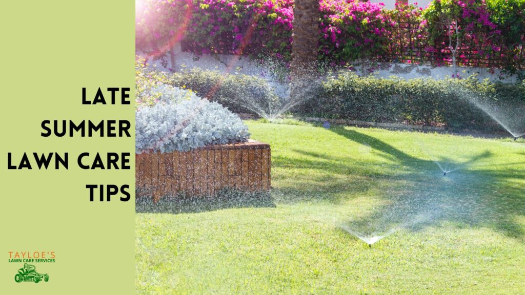 Late summer lawn care tips