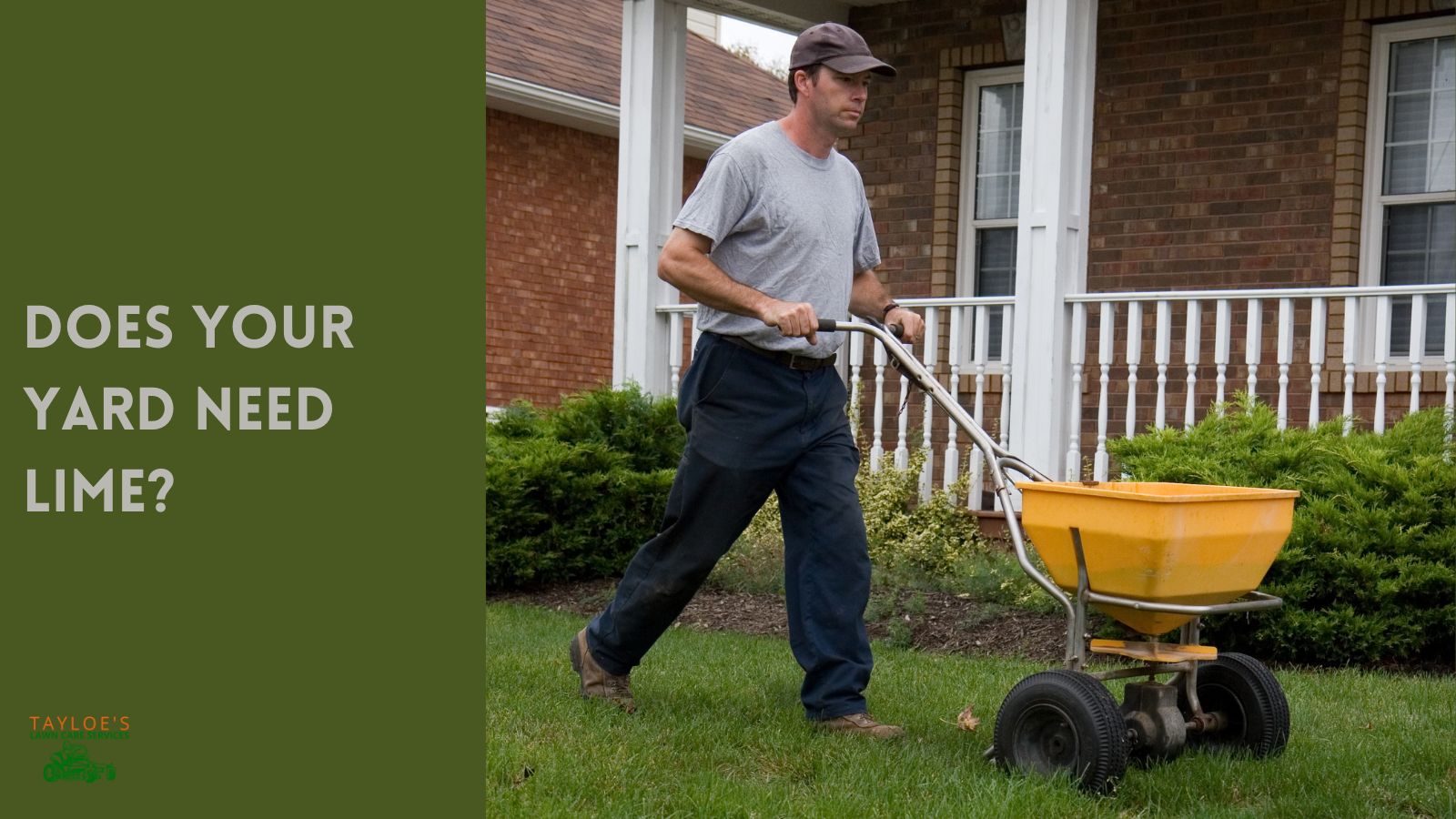 Should you lime your yard? Learn how to tell Tayloe's Lawn Care