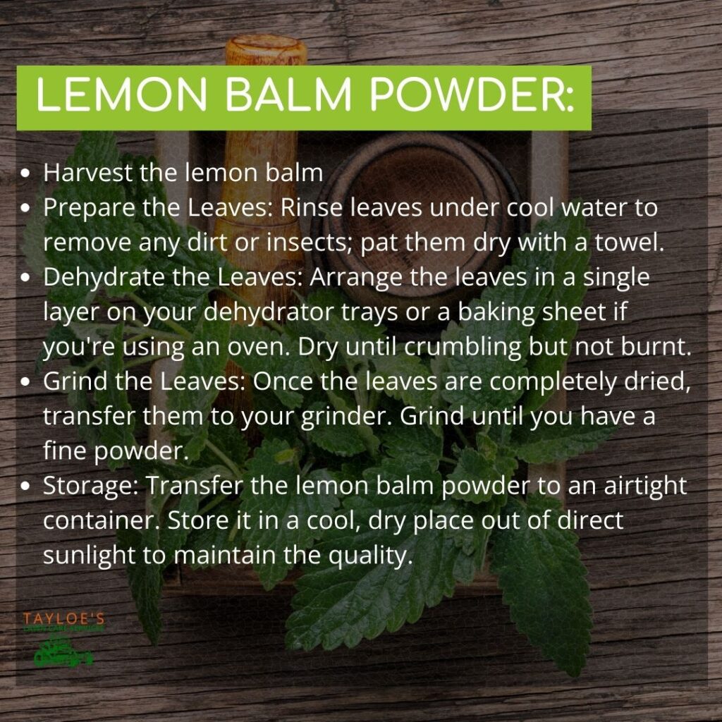 lemon balm powder