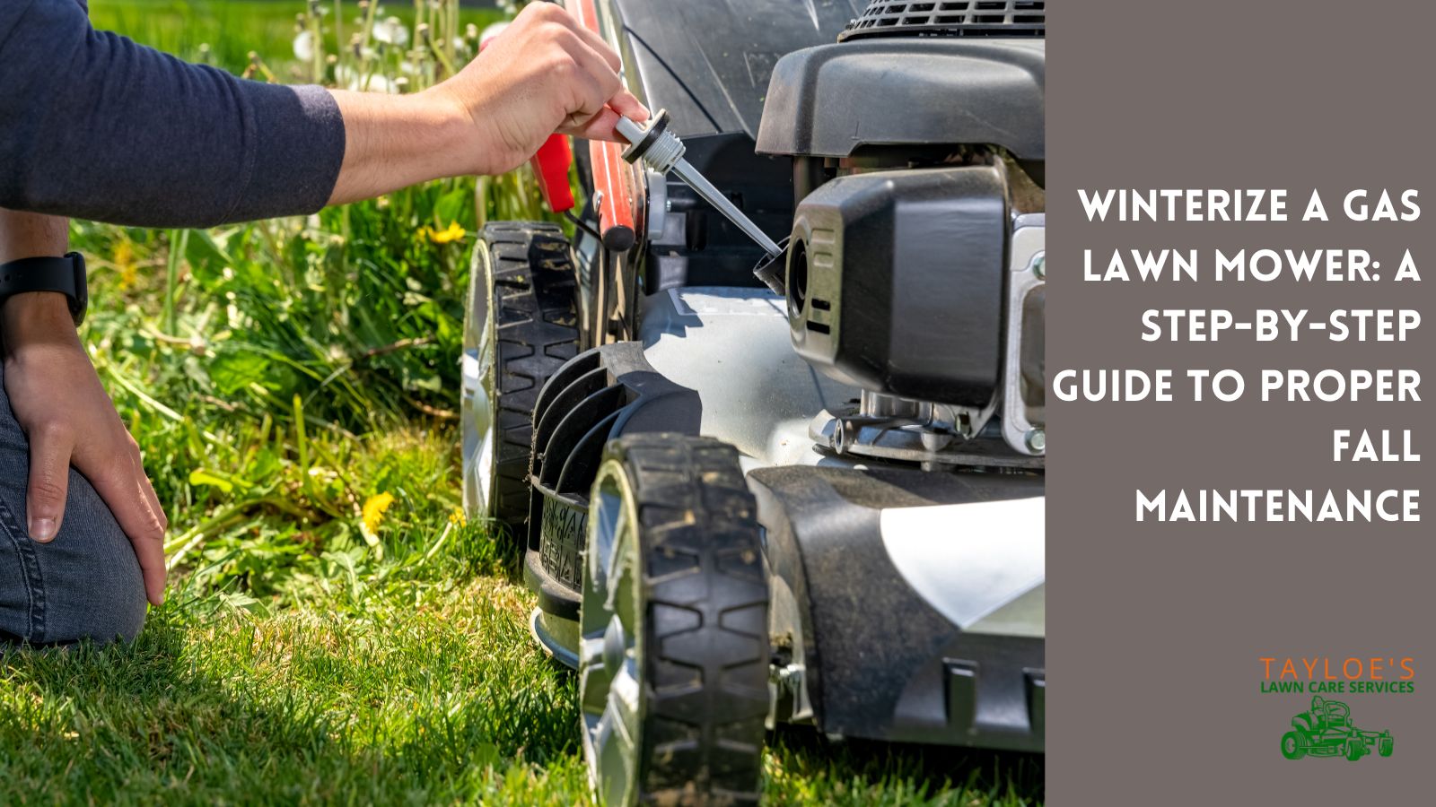 Gas lawn mower winterization guide Tayloe's Lawn Care Services, LLC