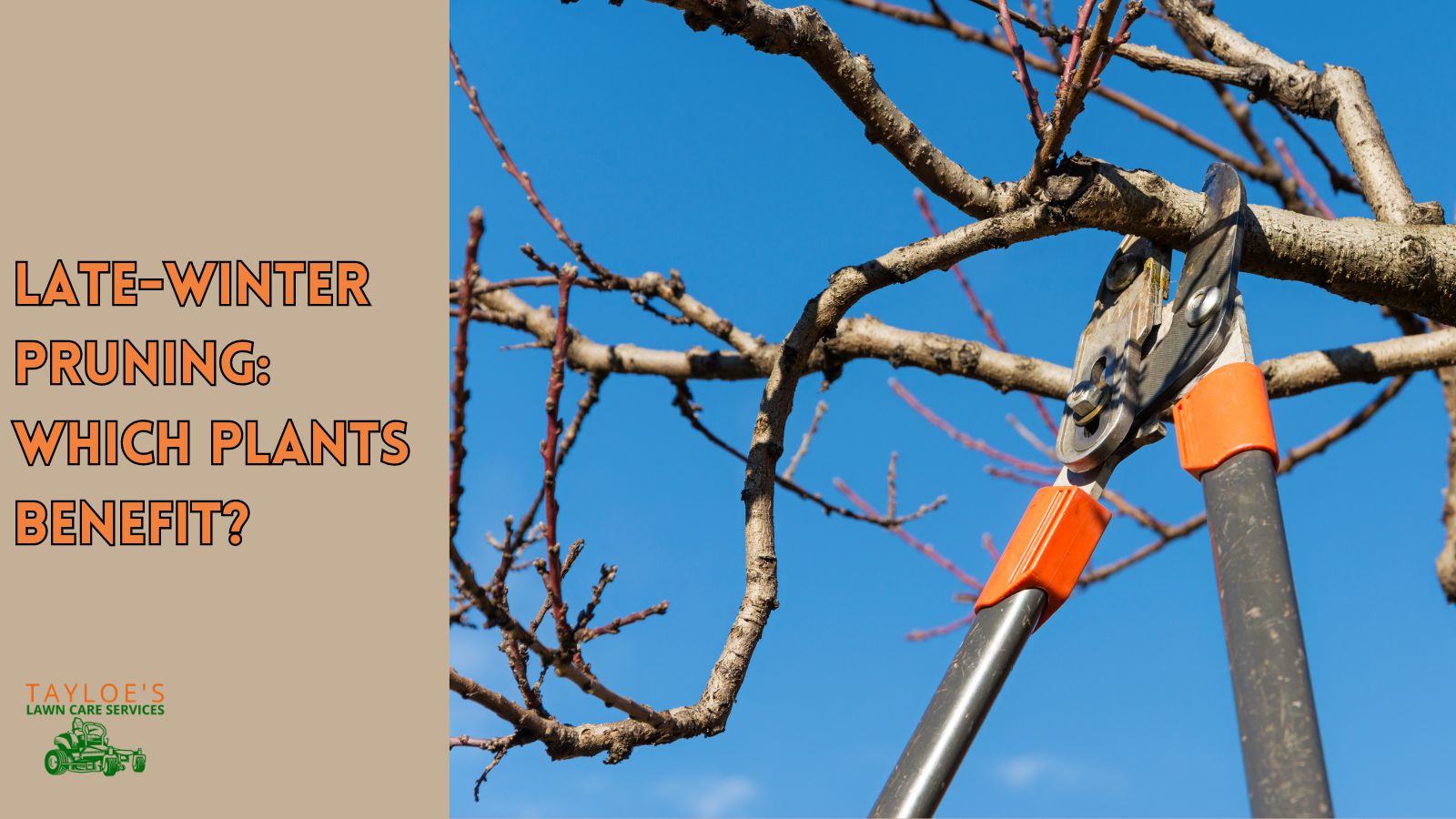 late winter pruning