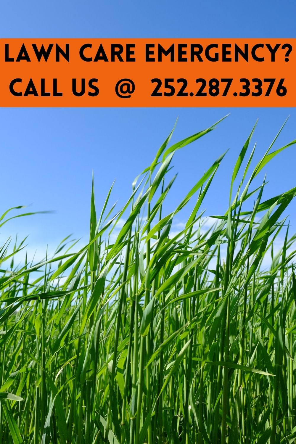 Price guide for lawn mowing services Tayloe's Lawn Care Services, LLC