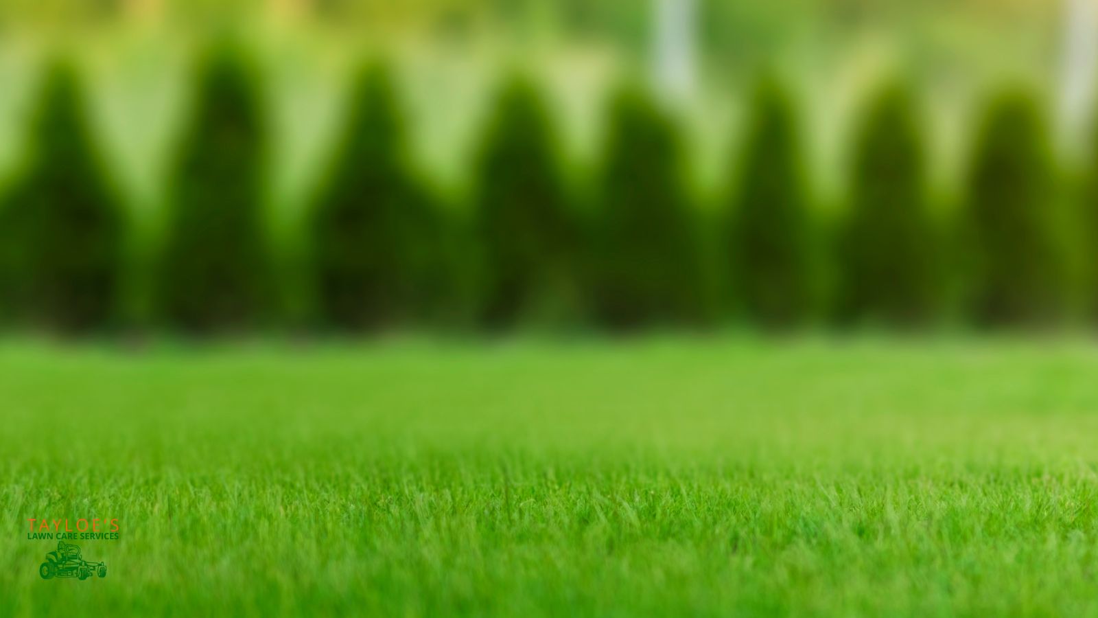 Spring lawn care services Tayloe's Lawn Care Services, LLC