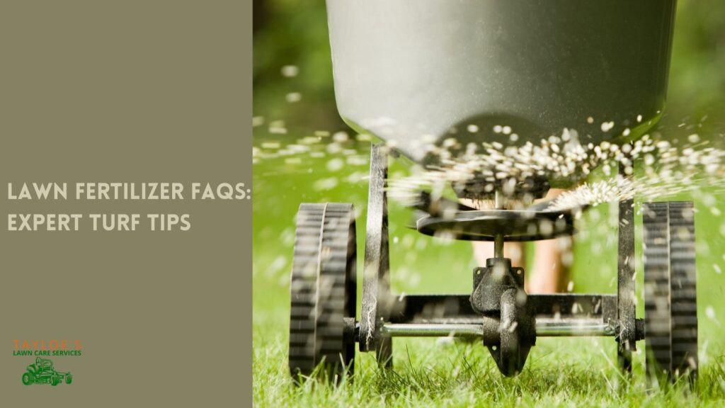 lawn fertilizer turf tips