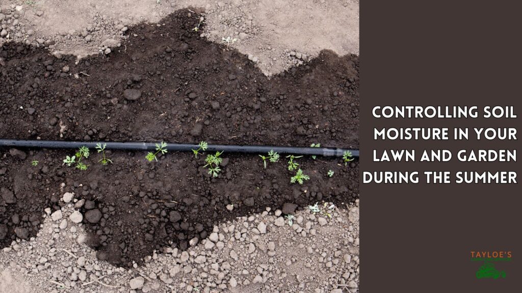 soil moisture and soil temperature