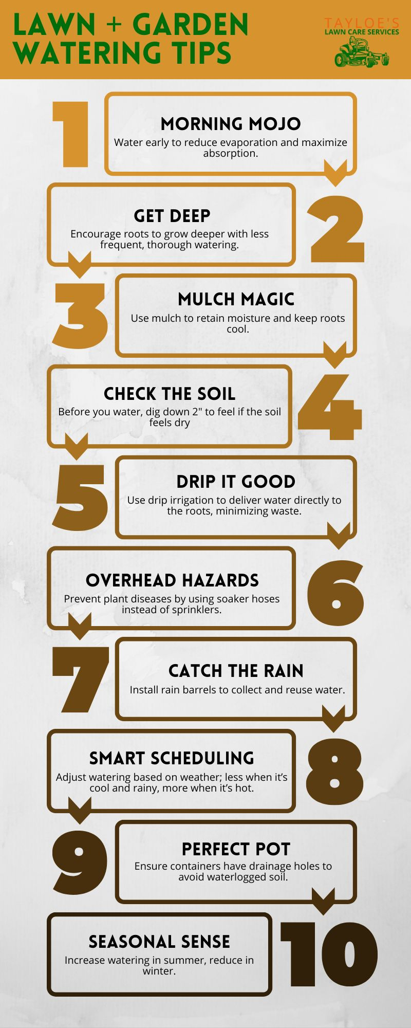 lawn care service and watering tips