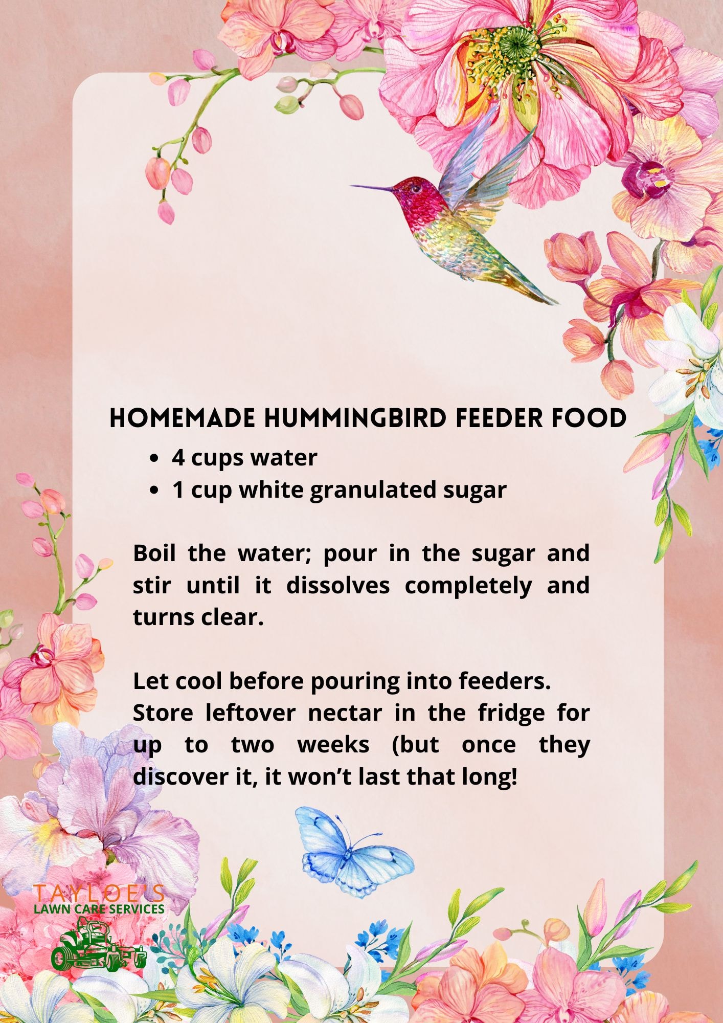 hummingbird nectar recipe