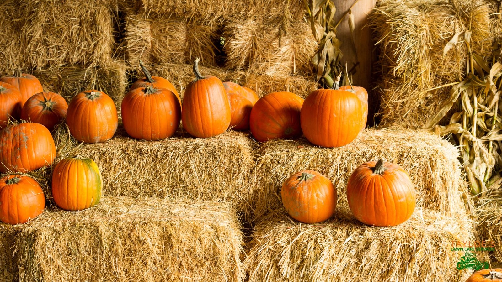 Have access to haybales? Perfect for outdoor space