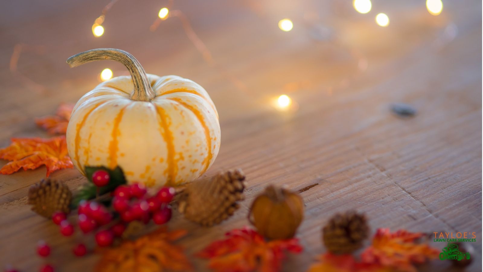 Dress up outdoor server trays with cute gourds