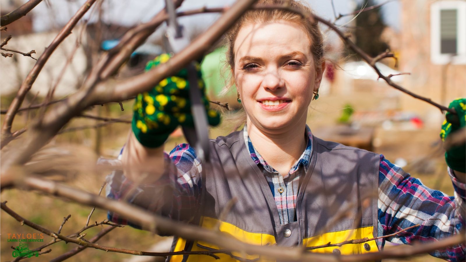 fall shrub care