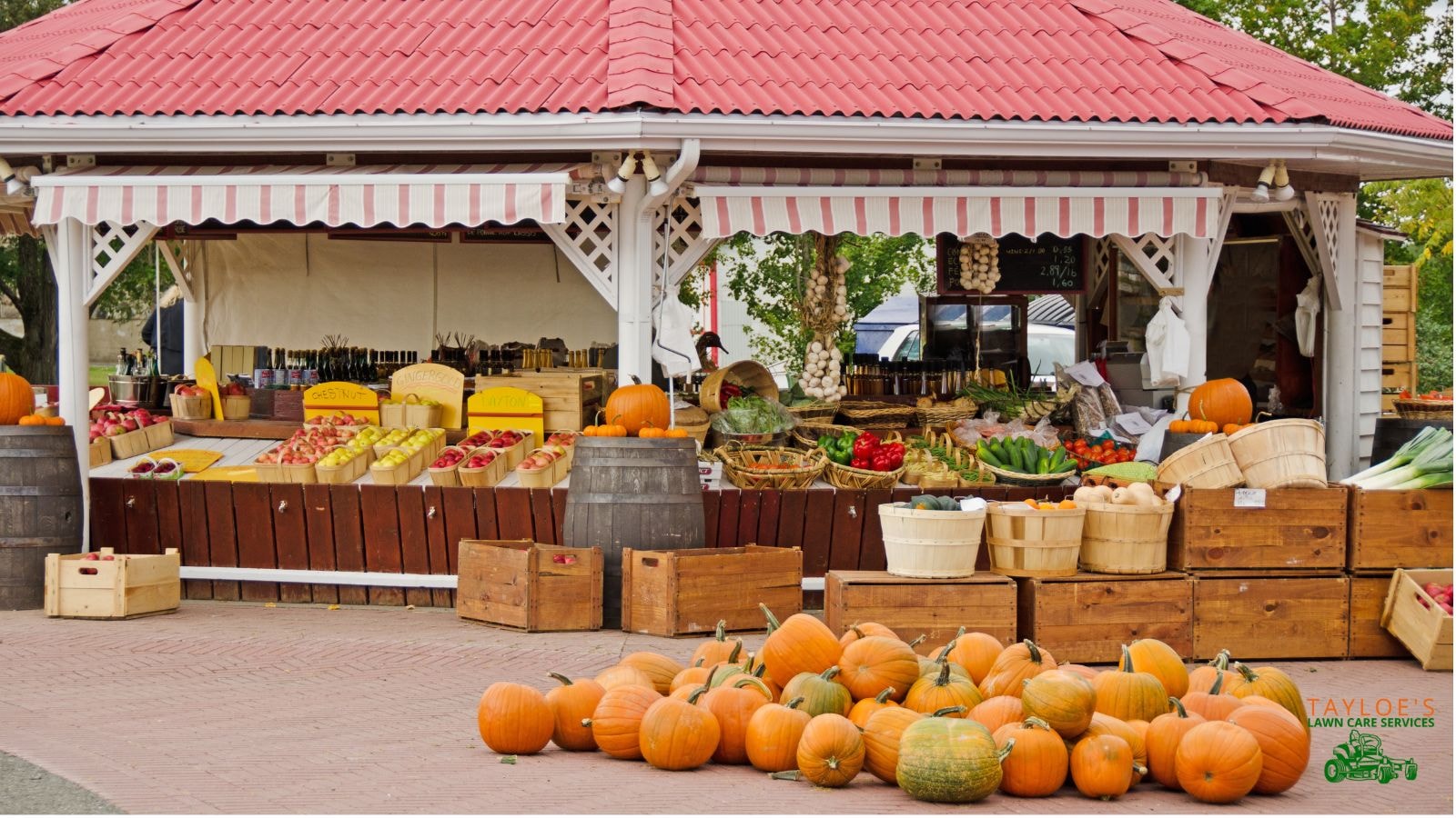 Access to a farmstand? Great place to buy fall decorations