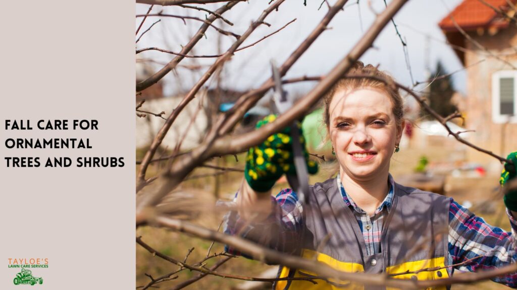 fall shrub care