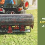 aerate the lawn in fall