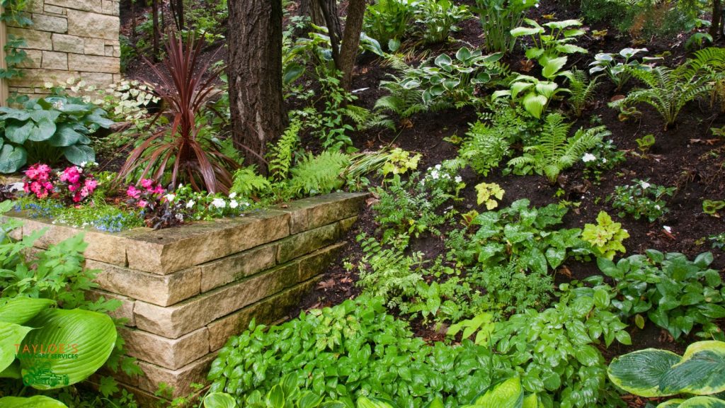 shade garden ideas