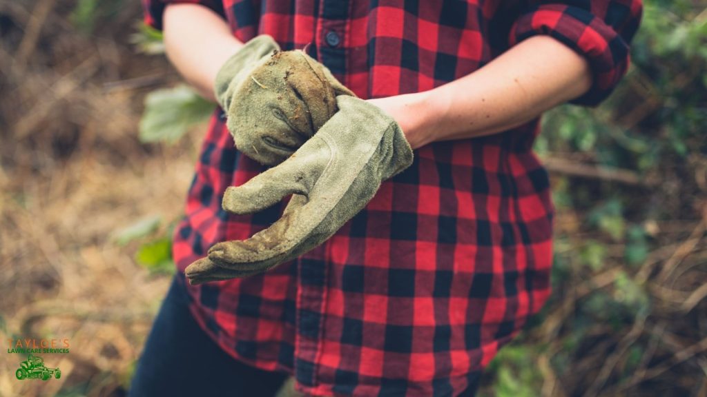 protecting your hands in the garden