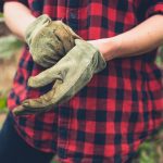 protecting your hands in the garden