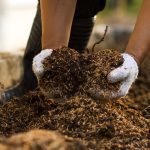 cool weather composting