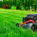 should i mow every week