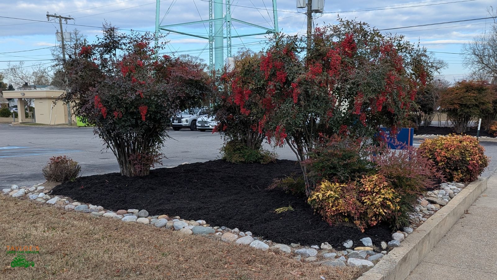 2 cubic yard black mulch installed by Randy Tayloe