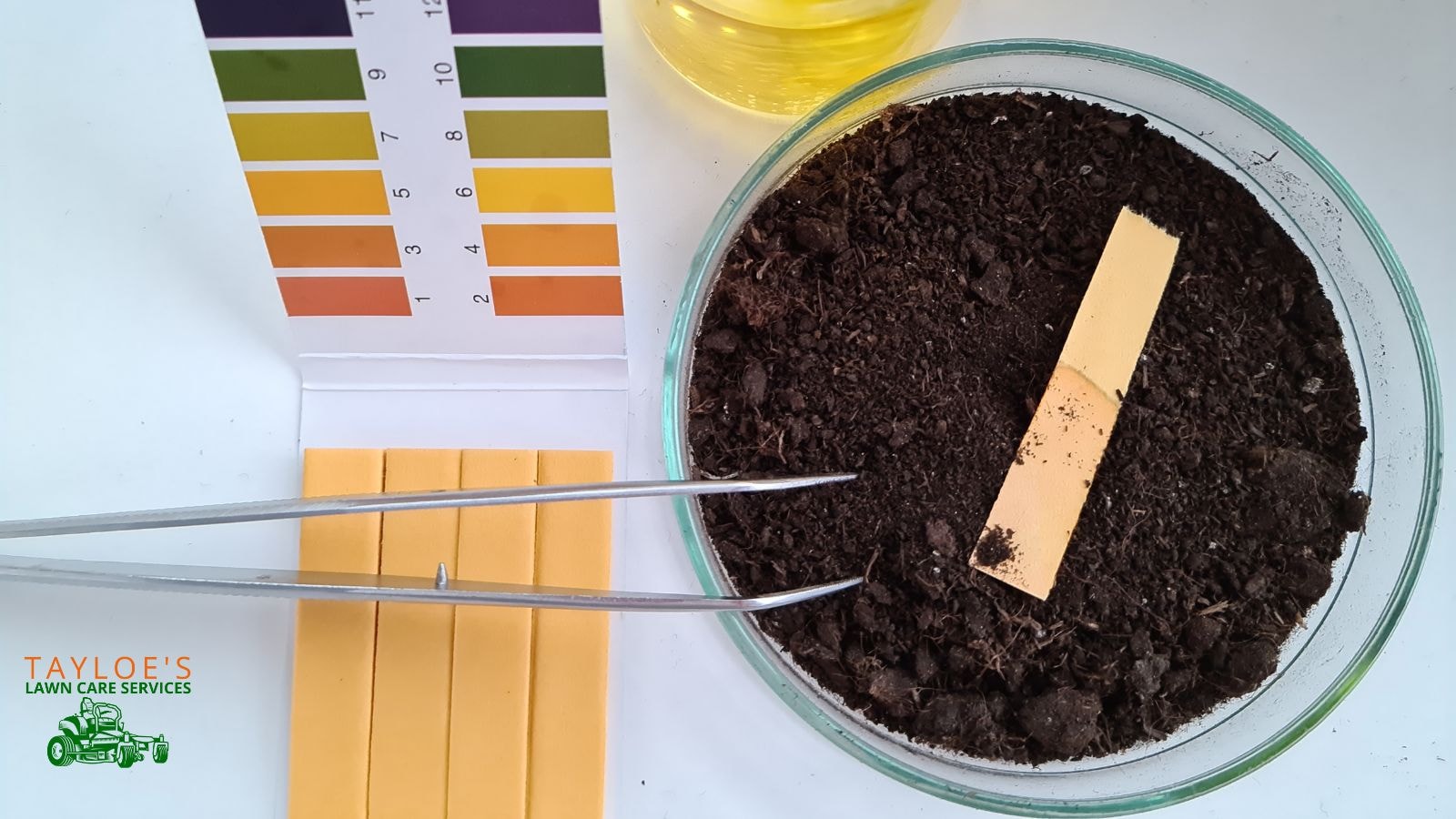 stephanie rose soil ph test