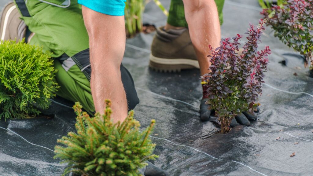 landscape fabric in your edible garden