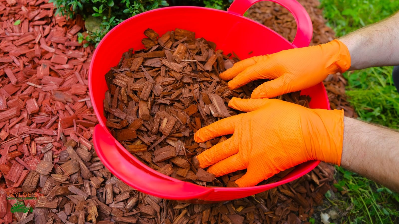 Apply a red mulch product in your yard