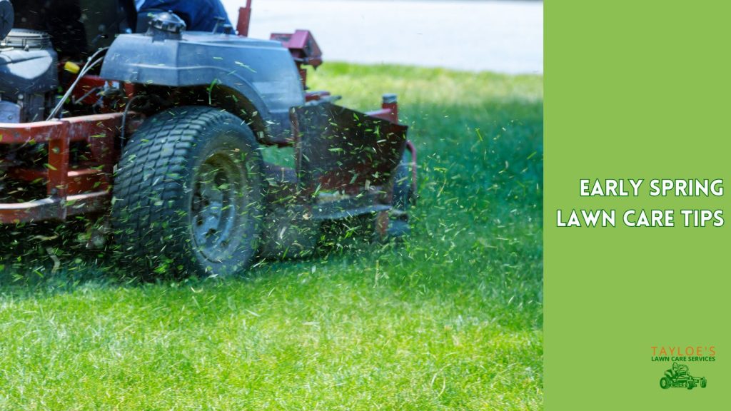 early spring lawn care tips