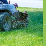 early spring lawn care tips