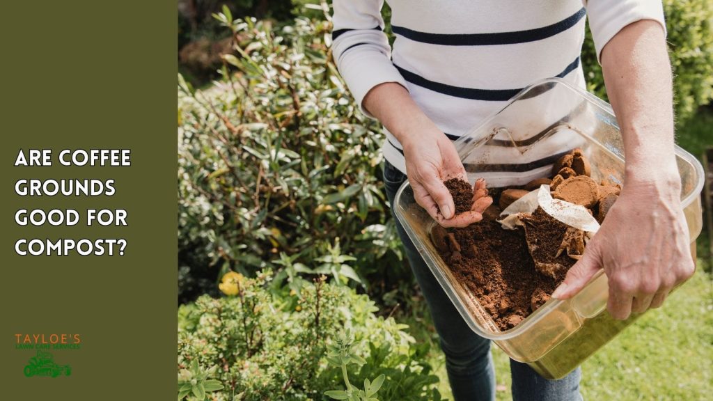 are coffee grounds good for compost
