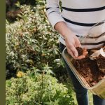 are coffee grounds good for compost