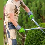 fall shrub pruning guide cover image
