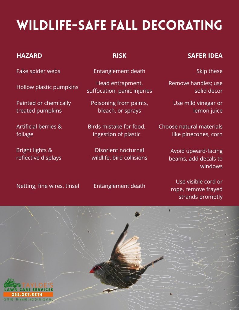 wildlife safe fall decorating endanger wildlife