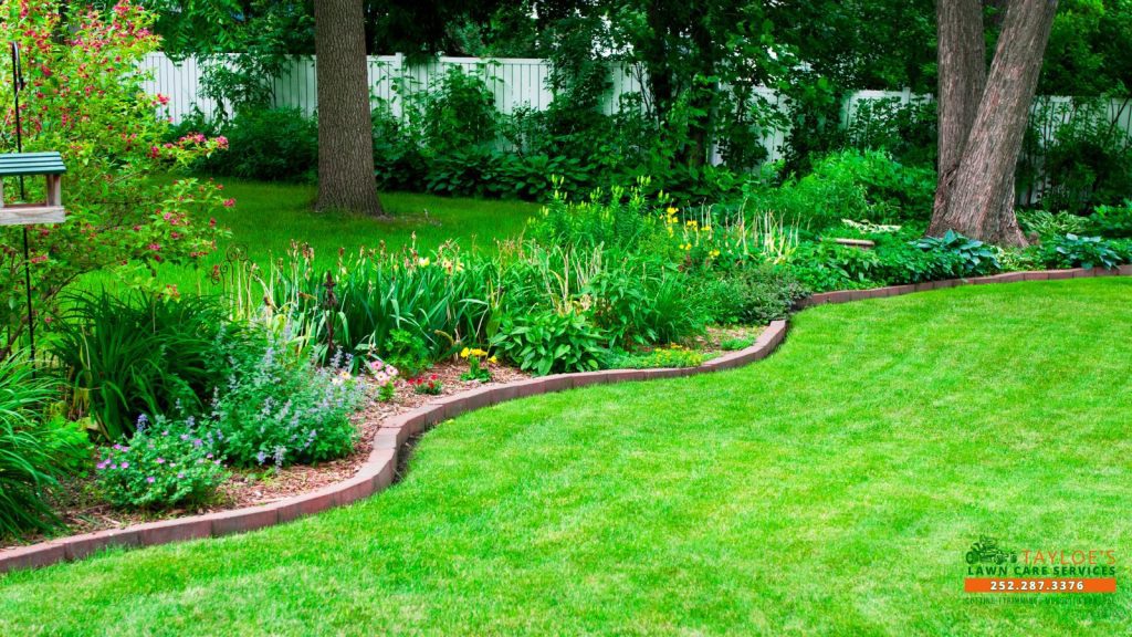 Lawn care trends to expect in 2026