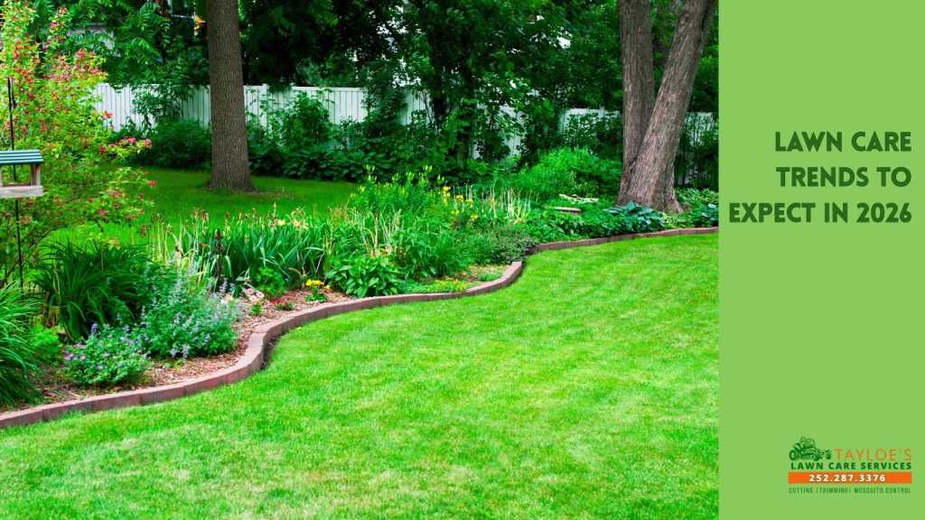 Lawn care trends to expect in 2026