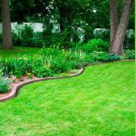 Lawn care trends to expect in 2026