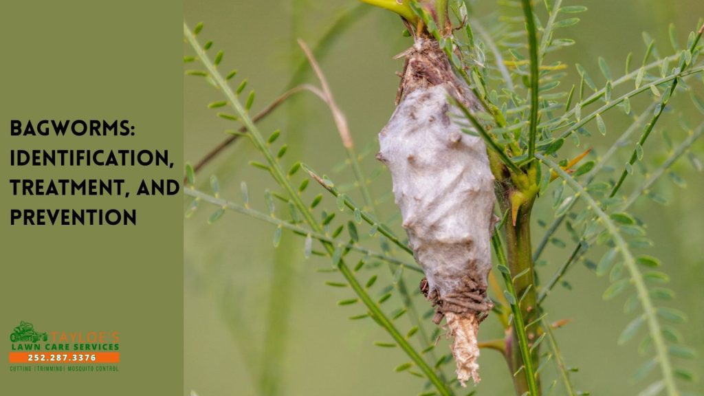 bagworms