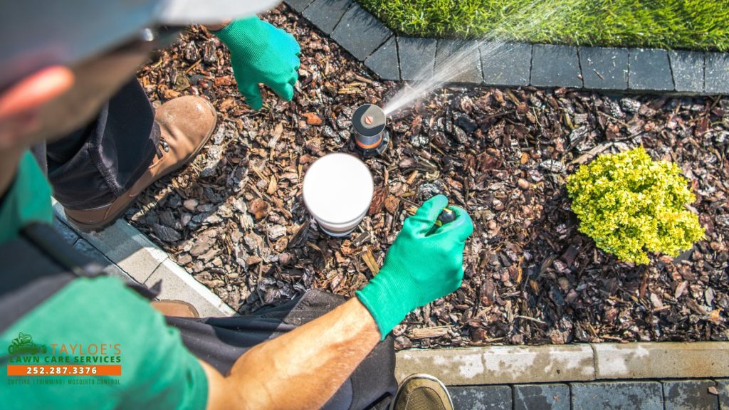lawn watering mistakes_1_canva lawn watering mistakes