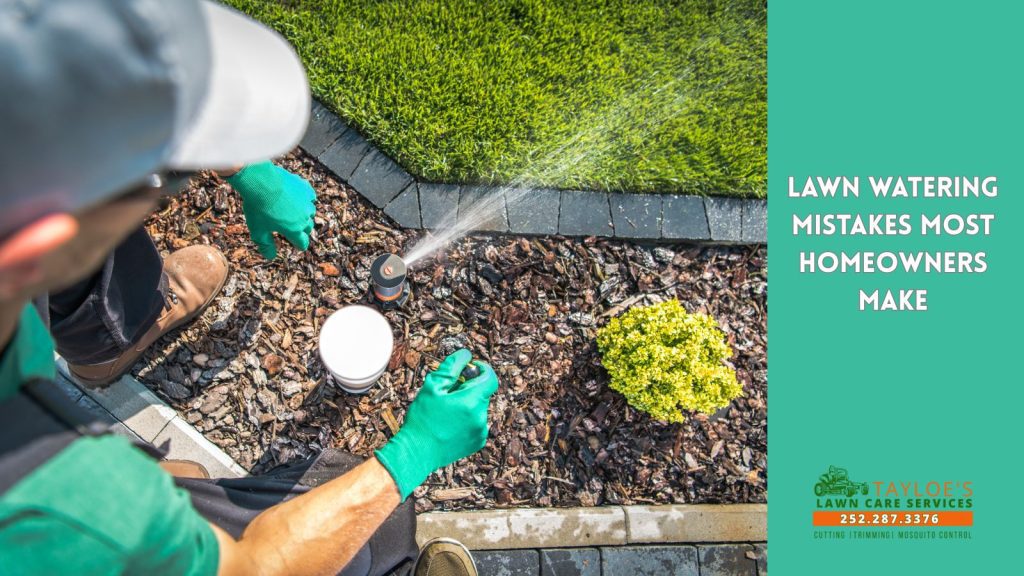 lawn watering mistakes