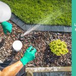 lawn watering mistakes
