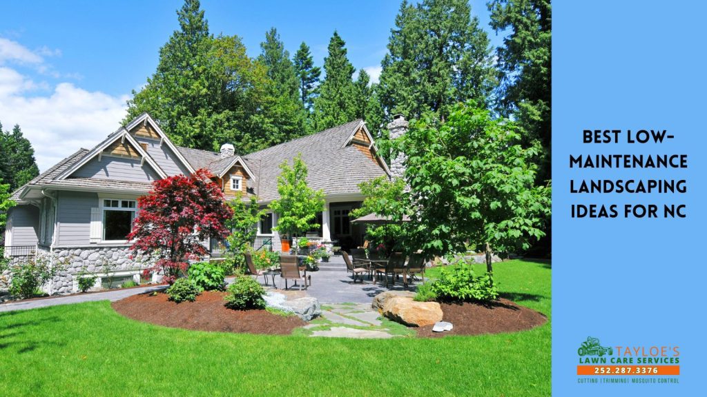 low-maintenance landscaping ideas
