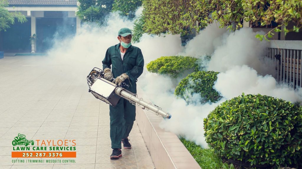 mosquito fogging service