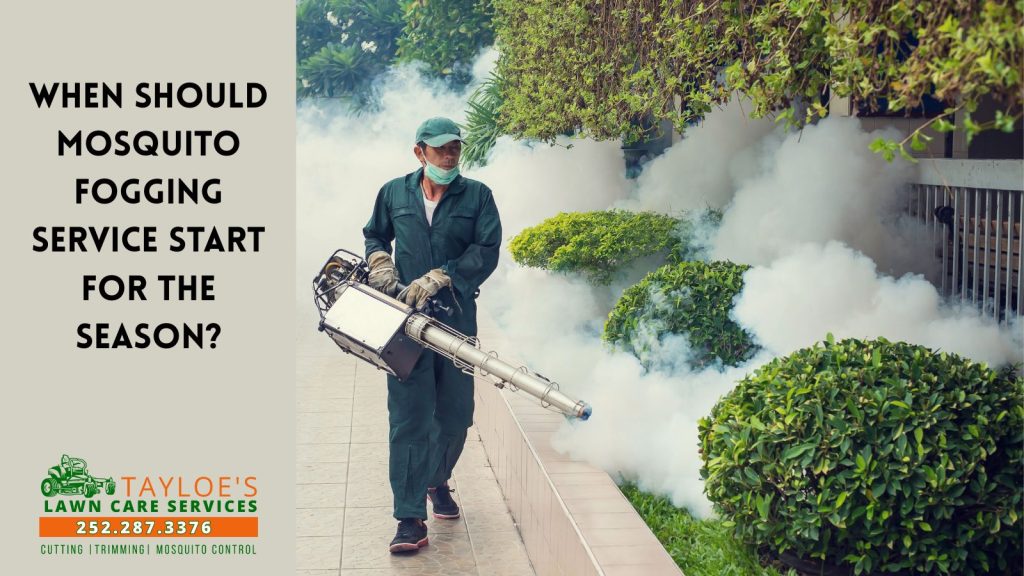 mosquito fogging season