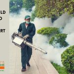 mosquito fogging season