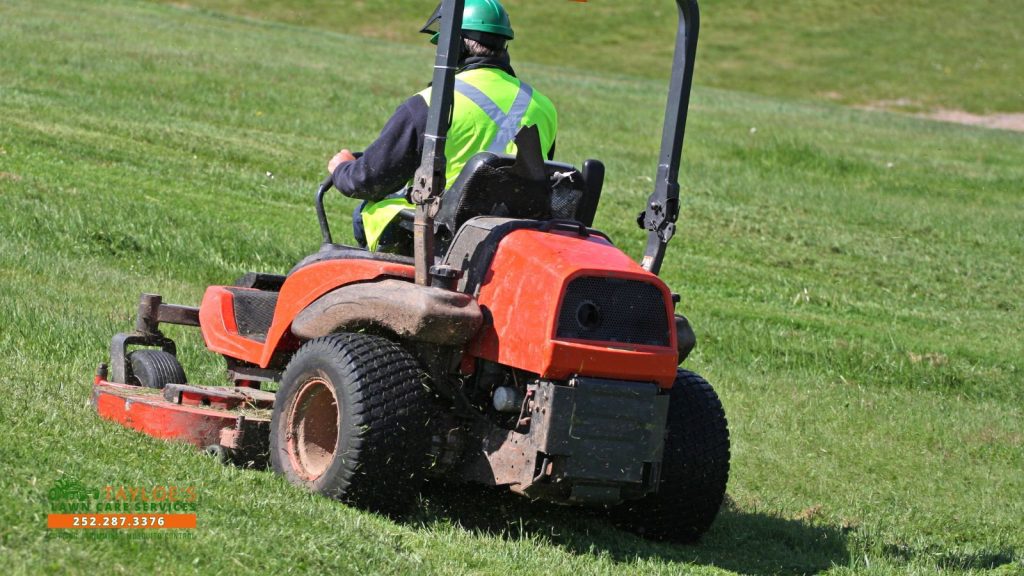 mowing height mistakes_1_canva mowing height