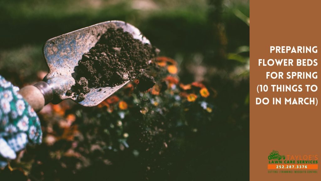 preparing flower beds for spring